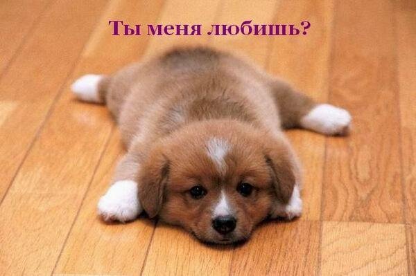 Асылзат Омарова