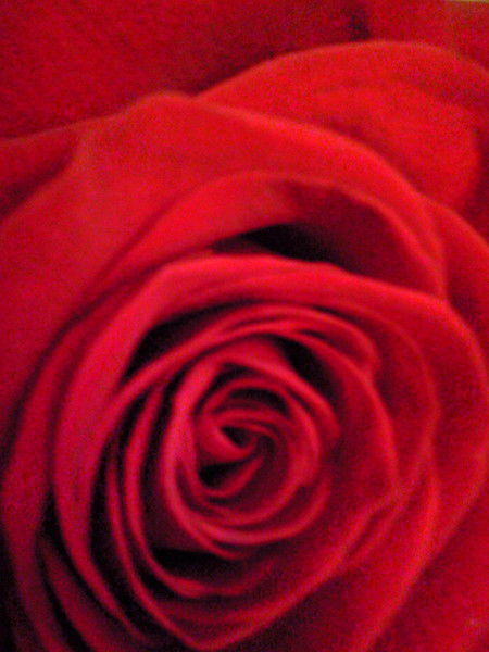 Наталья Короткова