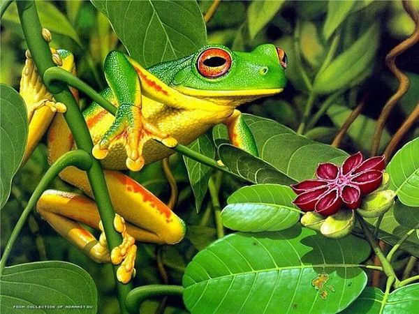 Алина Баскакова