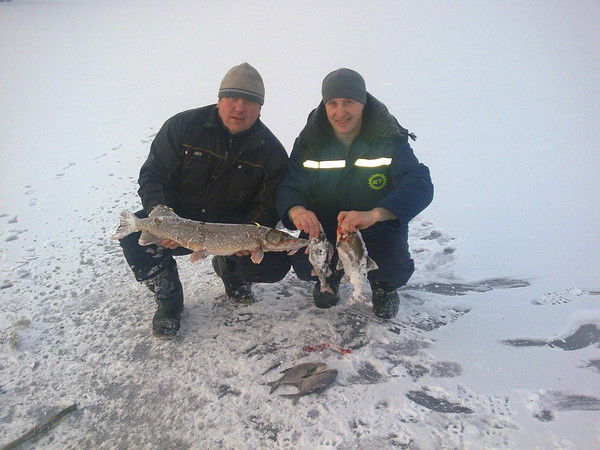 Алексей Левошкин