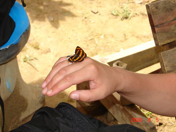 Маргарита Каминская