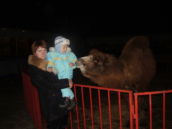 Ольга Дрофеева