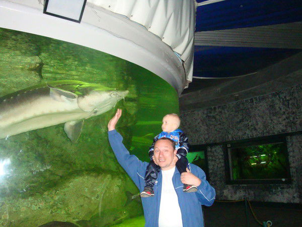 Неизвестно Неизвестно