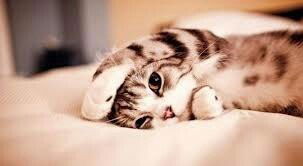 დ Rаdiм@ დ ♡♥♡