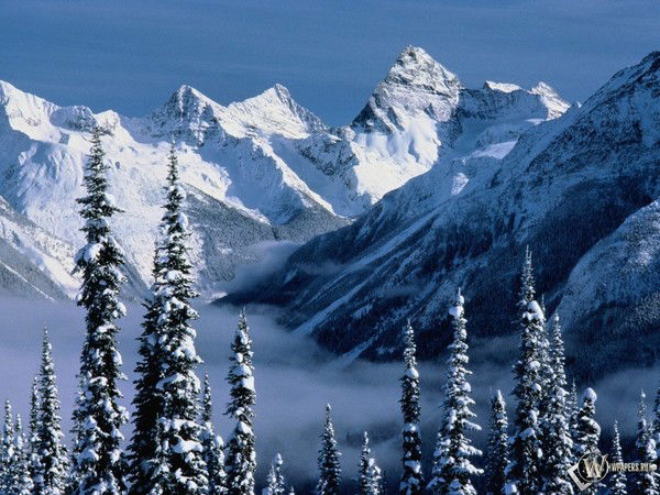 Мегафон Горки Молл