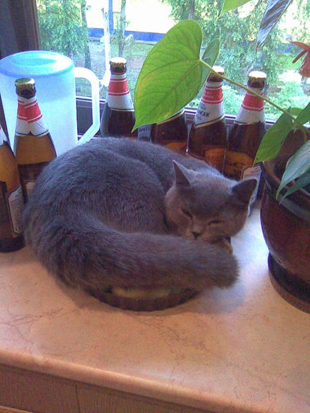 Игорь Фидермен