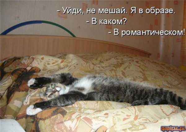 Светлана Перова