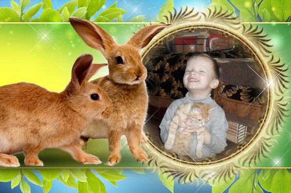 Сергей Долженков