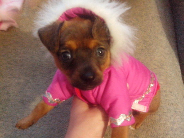 Елена Елена