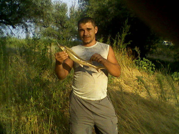 Алексей Валов