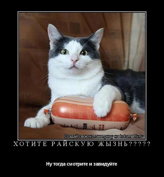 Евгений Утев