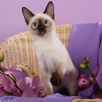 Кристина Андреева