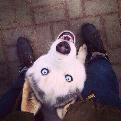 Никита Романов