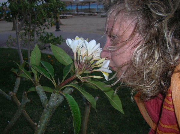 Светлана Белянская