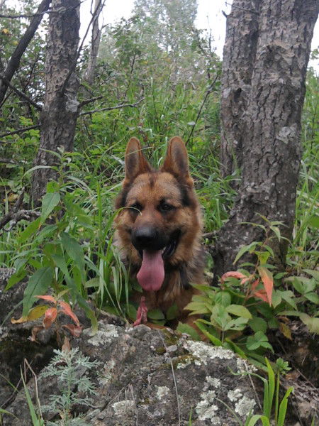 Ольга Панкратова