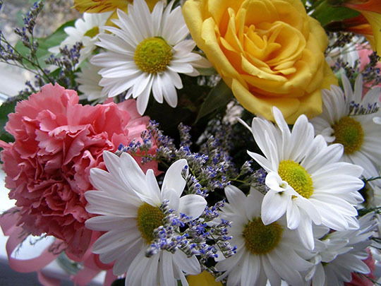 Лайла Пачковская