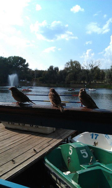 Любовь Фролова