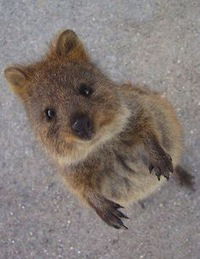 Олег Бондарь