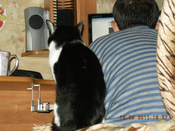 Меликов Melikov