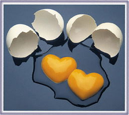 Саша Перепелица