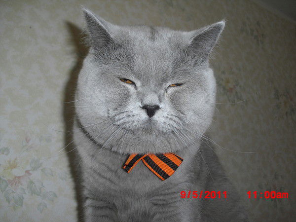 Роман Курамшин