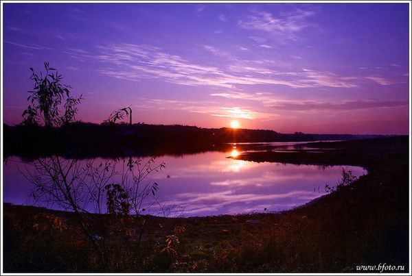 Эльвира Арсланова