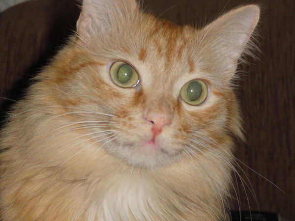 Андрей Иванов