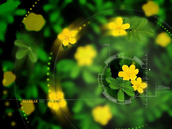 Лариса Исаченко