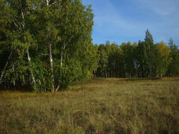 Салават Янтурин