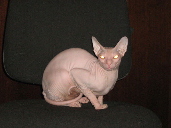 Евгений Кутузов