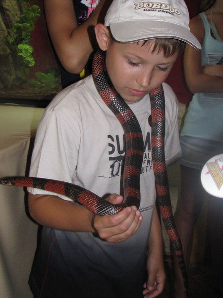 Михаил Поздин