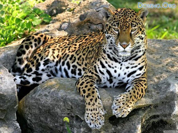 Ленар Абдулкадыров