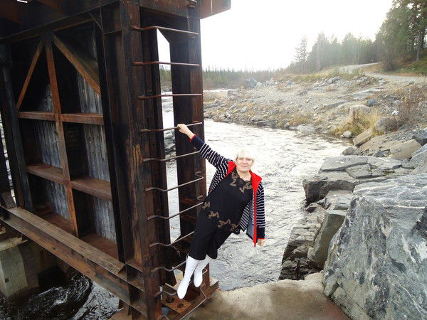 Елена Трапезникова