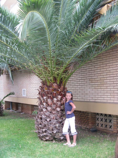 Арина Касатова