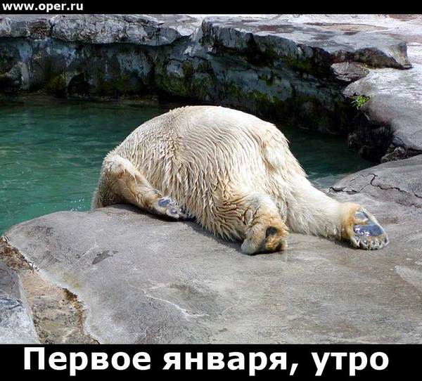 Алексей Кертеков