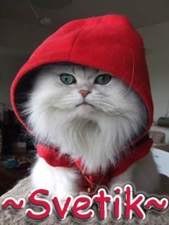 Светлана Ушакова