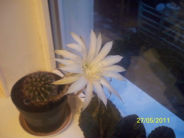 Залия Губайдуллина