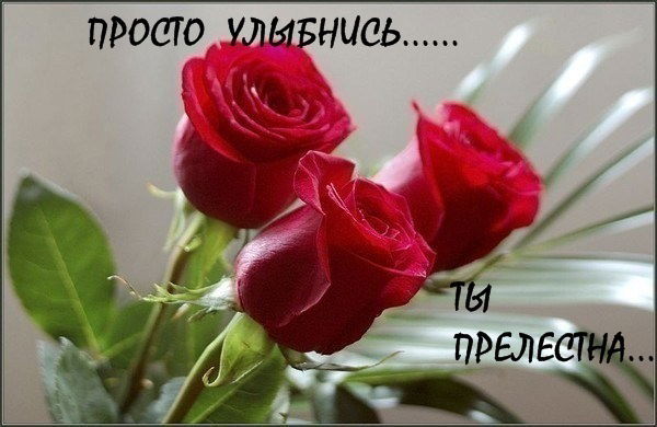 Александр Рудоманов