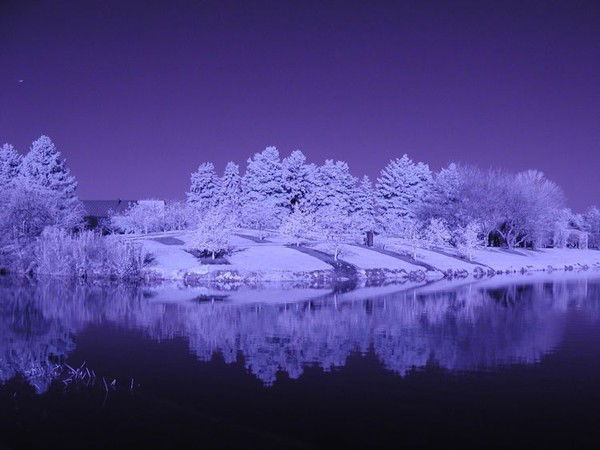 Жанулин Берик