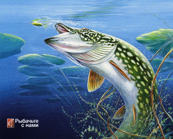 Александр Билега