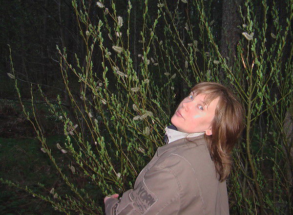 Елена Азарова