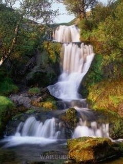 Даша Юрьева