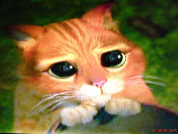 Николай Менщиков