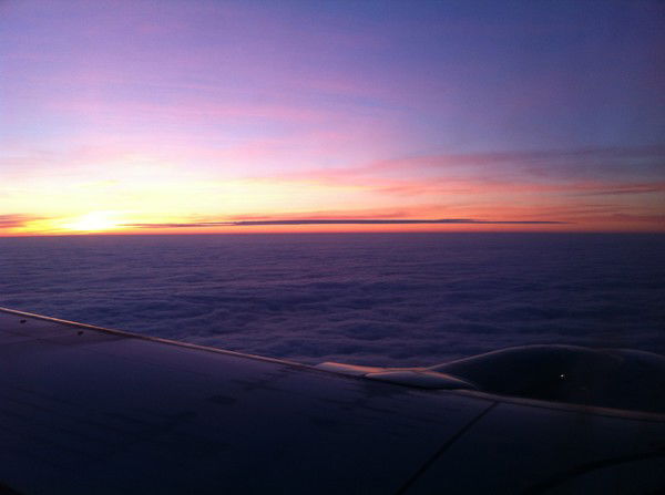 Юлия Бровкина