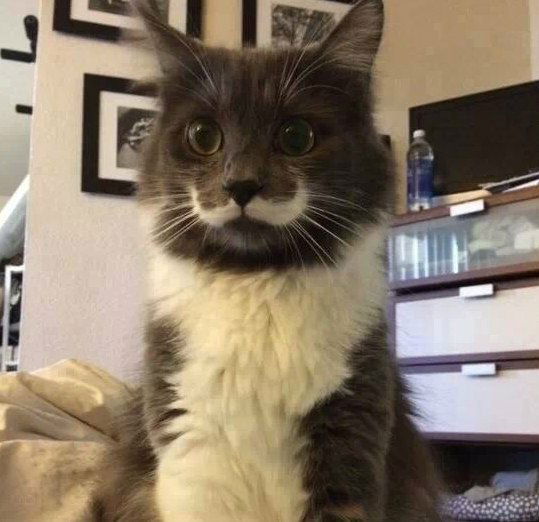 Иван Белоусов