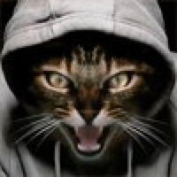 Владимир Моховиков