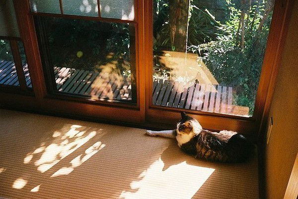 Ольга Трофимова