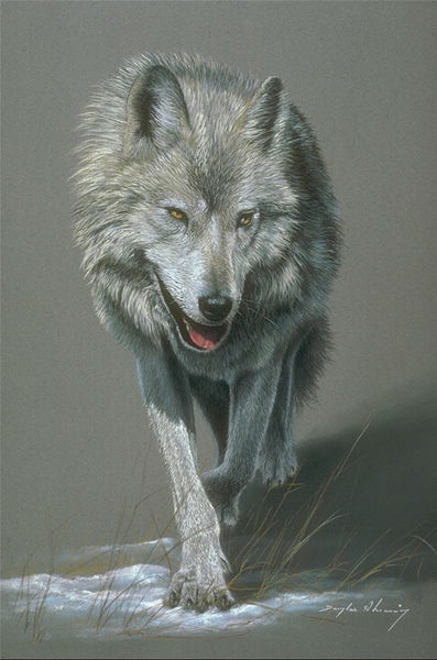 Алексей Ермолаев