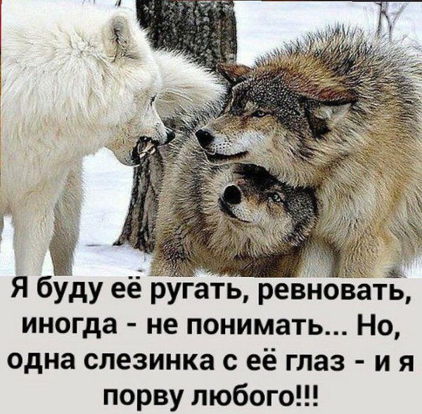 Bakytbek Murzaraimov