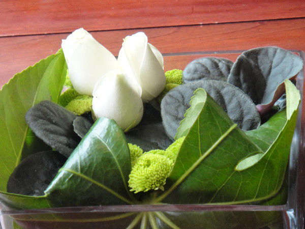 Елена Поначукова